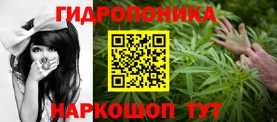 PSILOCYBIN Пугачёв