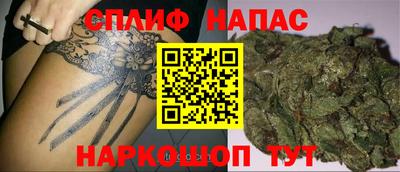 PSILOCYBIN Пугачёв