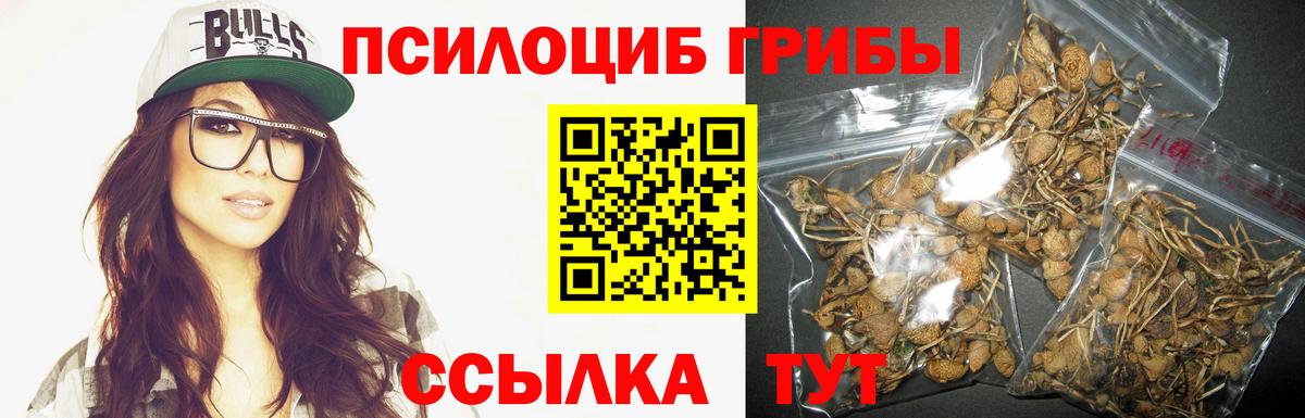 Тихвин  Псилоцибиновые грибы Magic Shrooms  Вход с VPN 